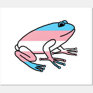 Transgender Pride Flag Frog Posters and Art